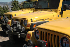 Way too many yellow jeeps