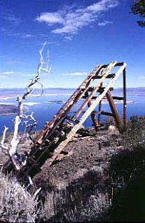 Tree snag and old mine remnants over looking Mono Lake