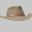 Land Use App Hat